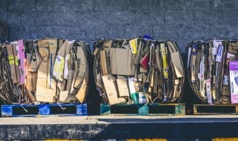 Bundled cardboard on pallets